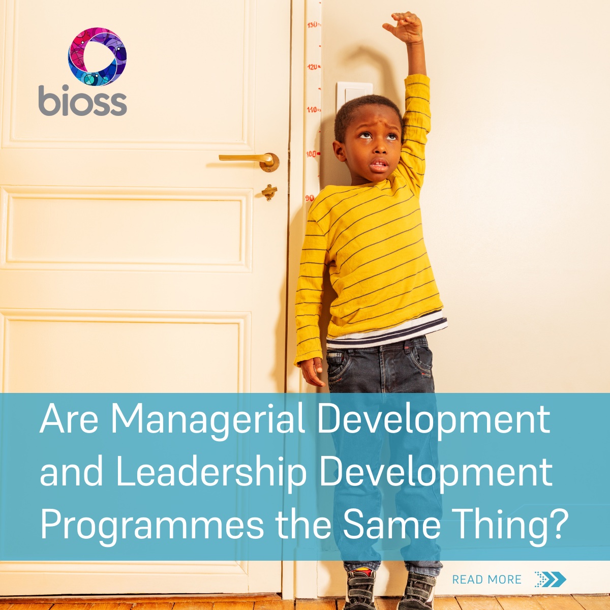 Are Managerial Development and Leadership Development Programmes the same thing?