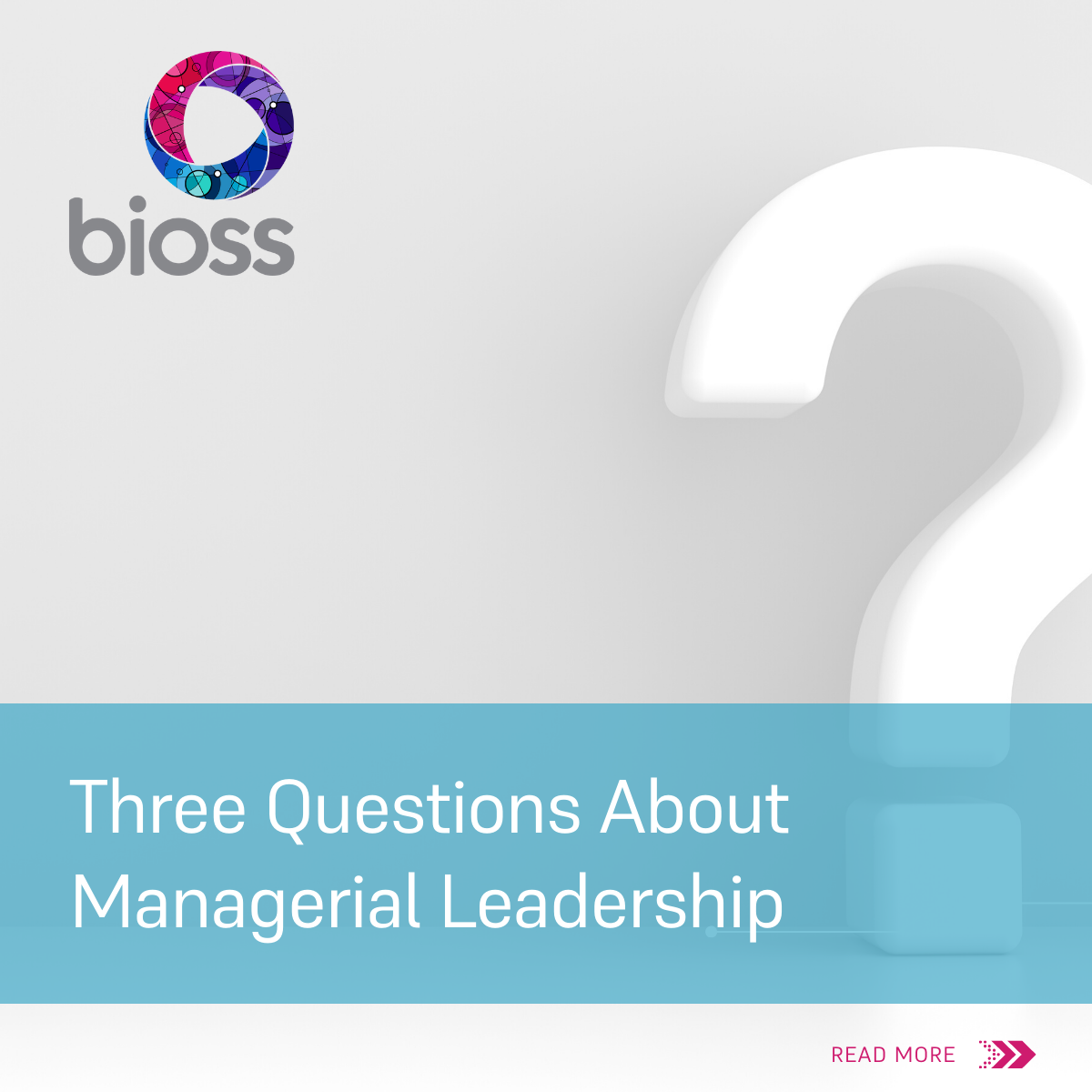 Three Questions About Managerial Leadership